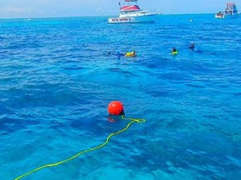 A Unique Private Snorkel Tour of Key Largo