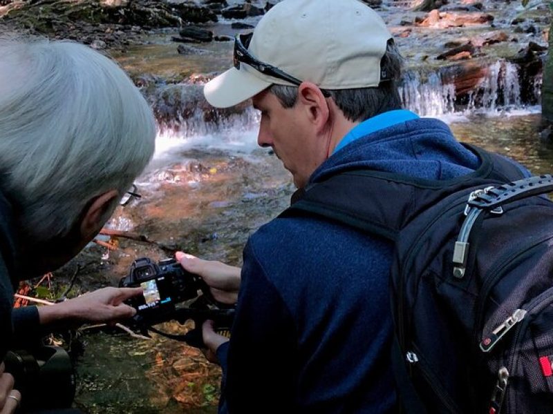 Full-Day Tour With Instruction in Vistas & Waterfall Photography