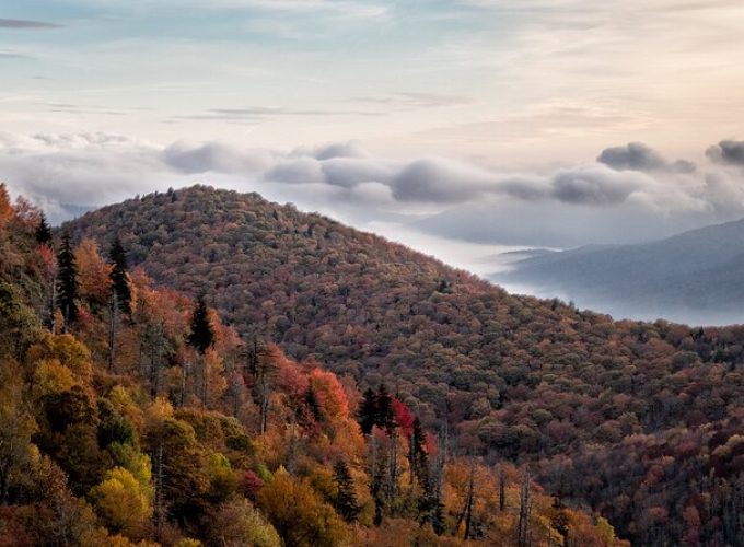 Half-Day Tour With Instruction in Autumn Color Photography