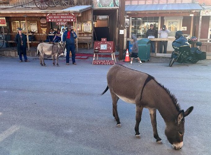 Oatman Mining Camp, Burros, Museums/Scenic RT66 Tour Small Grp