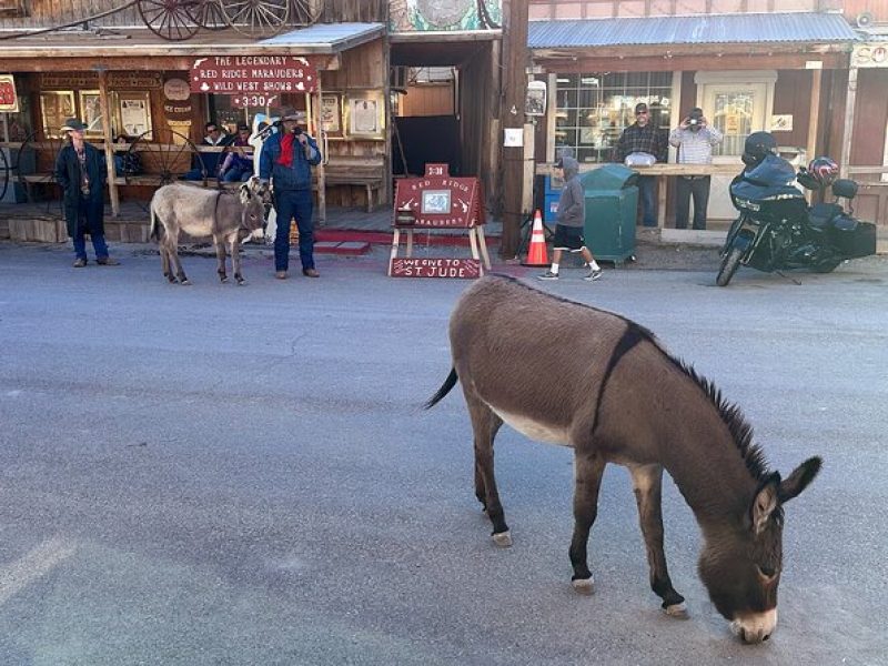 Oatman Mining Camp, Burros, Museums/Scenic RT66 Tour Small Grp