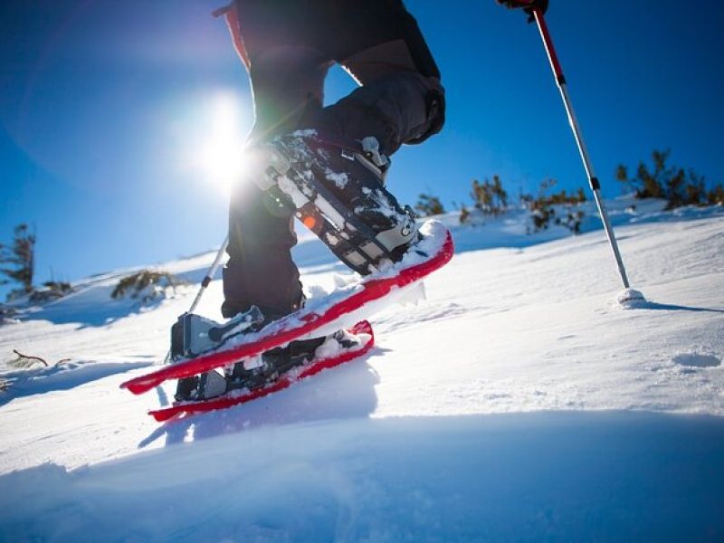 Winter Hiking Set for Snowshoes and Trek Poles