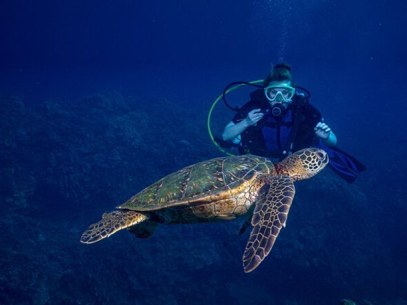 Discover Scuba Diving Class – Lahaina (Shore)