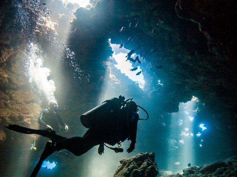 2 Tank Lanai Cathedral Scuba Dive (Boat) for Certified Divers