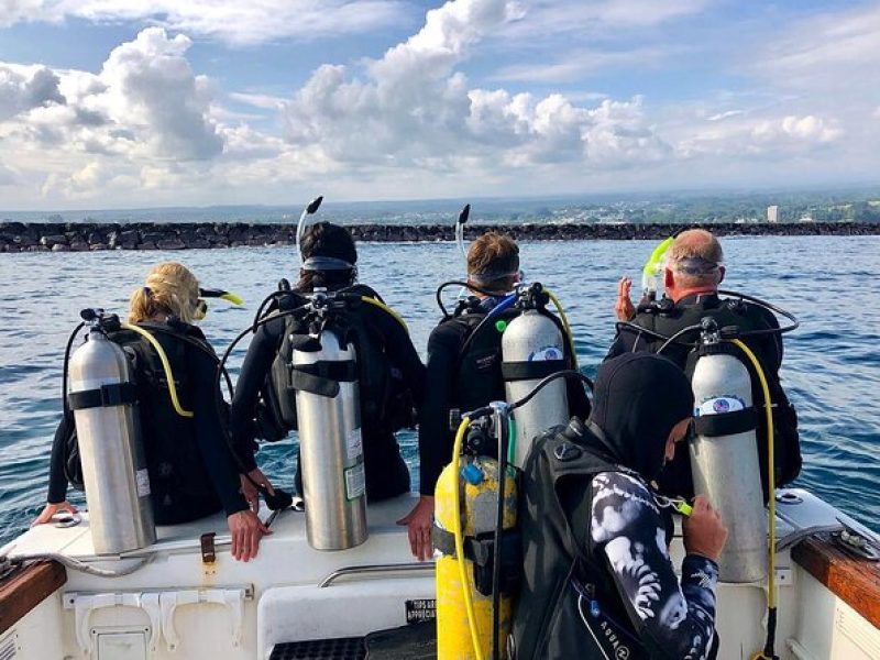 Hilo's Remote Tropical Reef 2 Tank Boat Dive