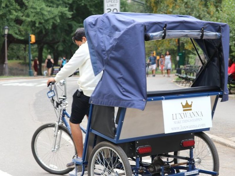 Central Park VIP Tour (All park tour up to 2 hour with unlimited stops) pedicab