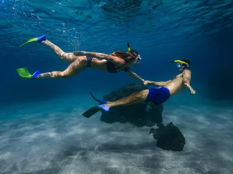 Turtle Town Snorkel with Photo and Video