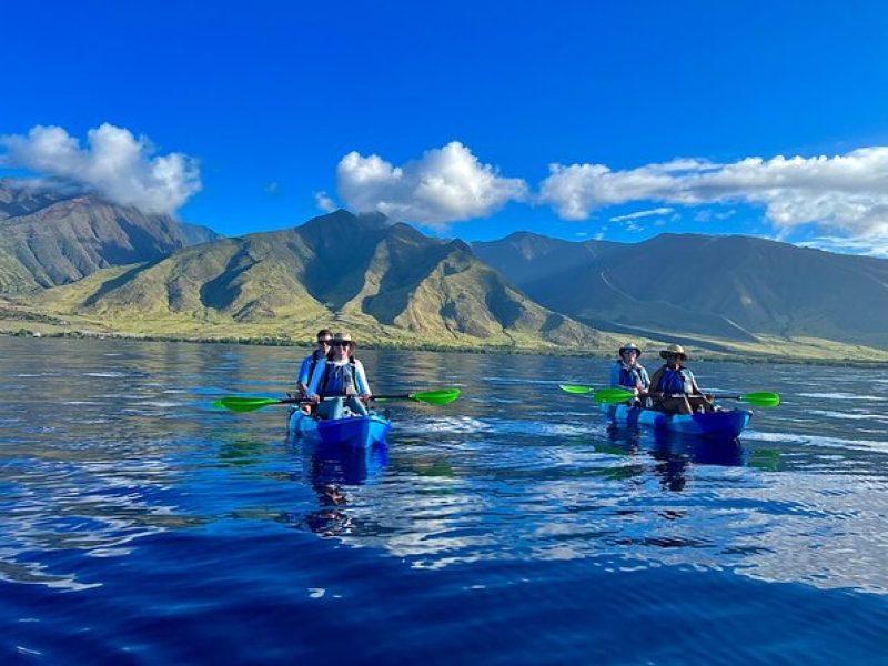 Kayak and Snorkel @ Turtle Town With Optional Photo