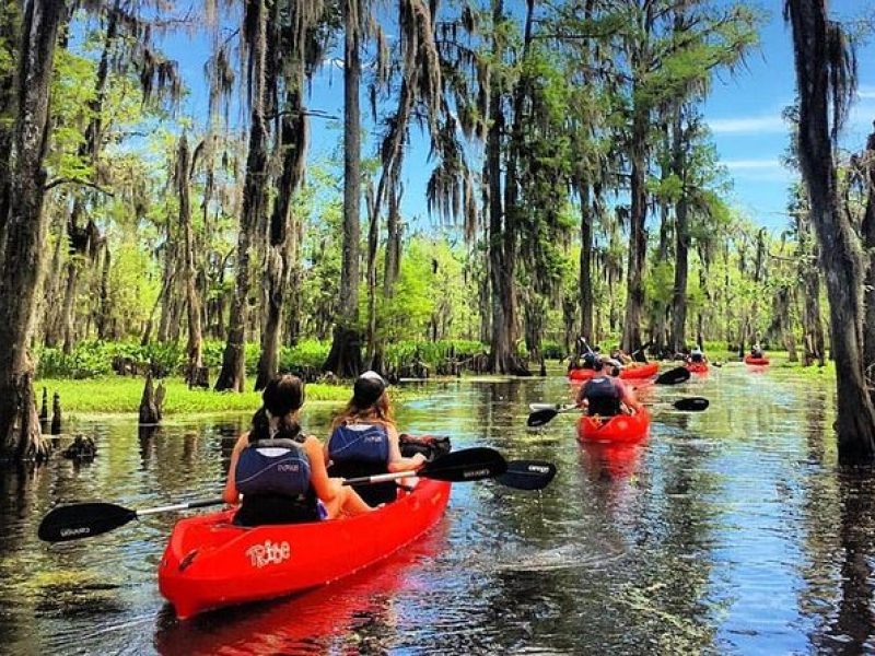 Manchac Swamp Kayak Small-Group Tour