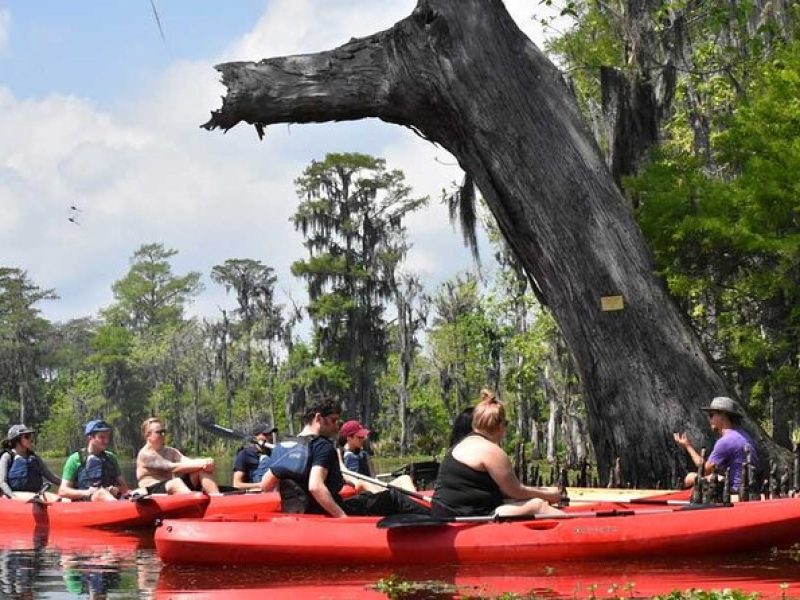 Manchac Swamp Kayak Tour for Experienced Kayakers with Pickup