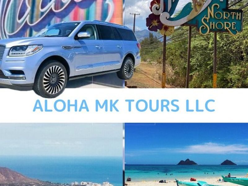 Private luxury 5hr Dole,Northshore,Waikiki island tour