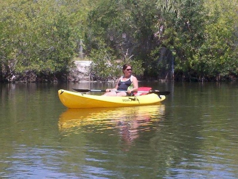 One Single Kayak Rental for 2 hours with Manatee & Dolphin sightings!