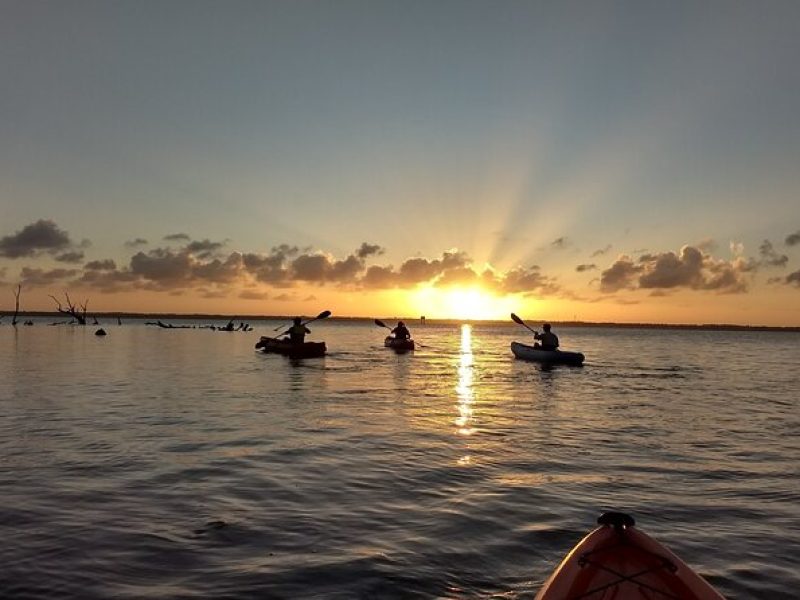 Sunset kayaking tour at Manatee Cove with Manatee & Dolphin sightings