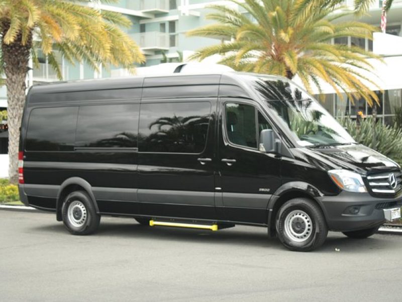 Honolulu Airport Arrival – Sprinter (Van)