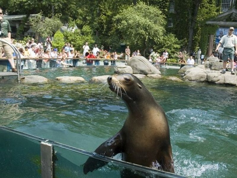 Central Park Zoo and 3hrs Manhattan Walking Tour