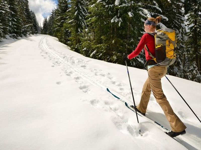 Half-Day Guided Backcountry Ski Touring Experience near Incline Village