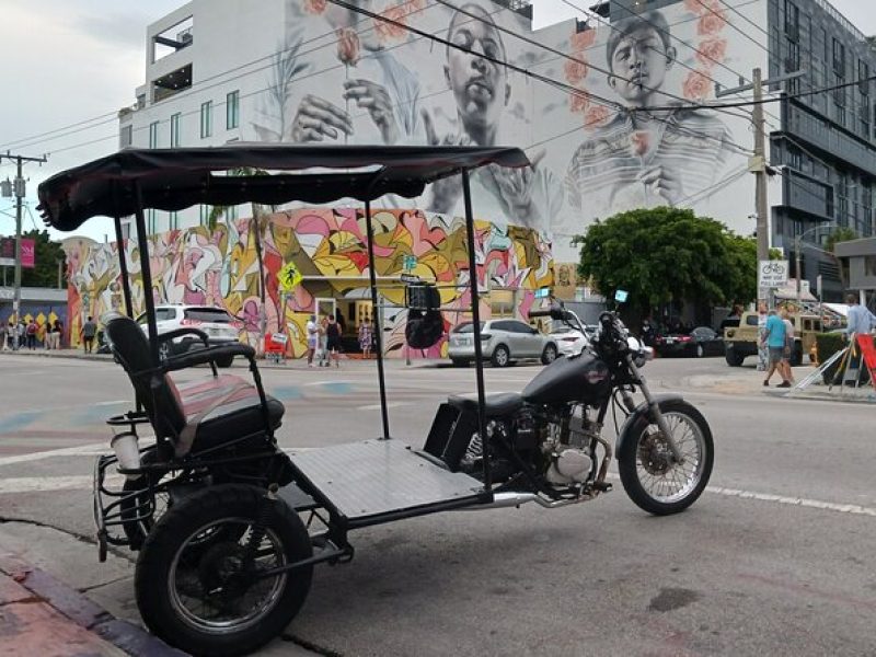 Wynwood Art tour in Miami's only TucTuc