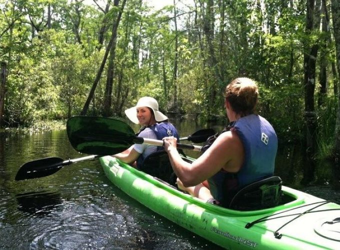 Alligator River Kayak Adventure