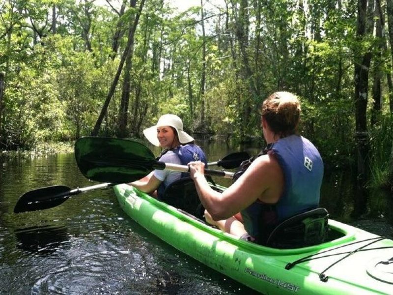 Alligator River Kayak Adventure