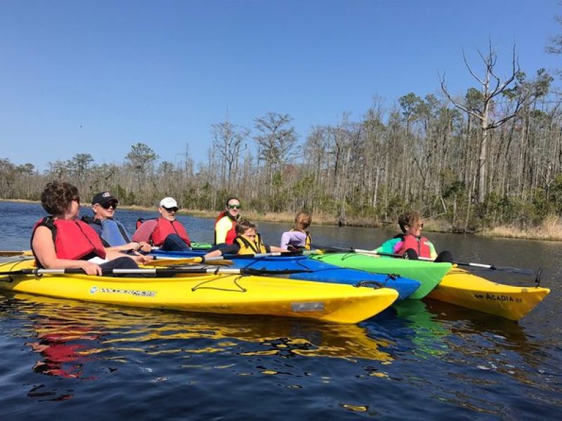 Kitty Hawk Maritime Forest Kayak Tour