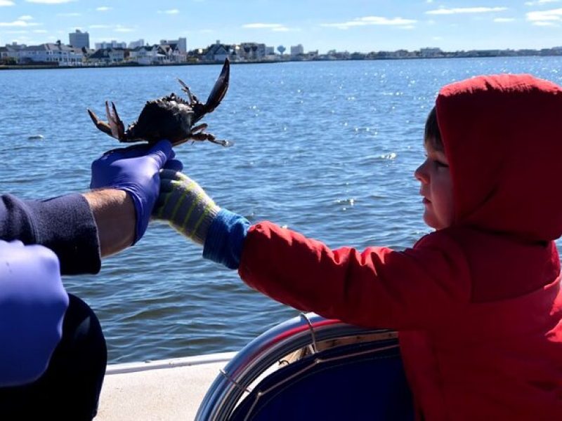 OC Bay Hopper Crabbing