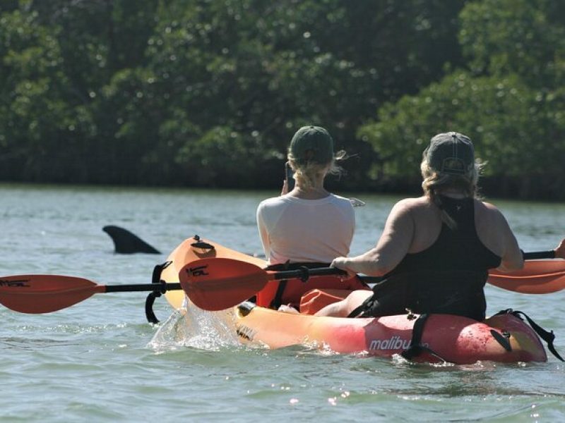 Nauti Exposures – Kayak rental Naples, FL