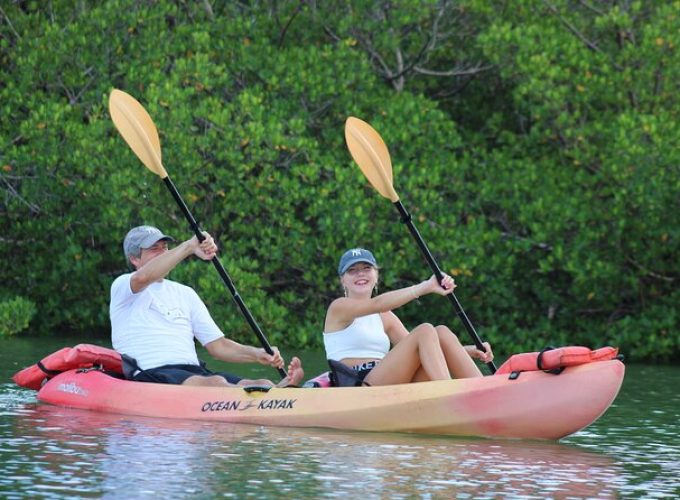 Nauti Exposures – Guided kayak tour through the Mangroves