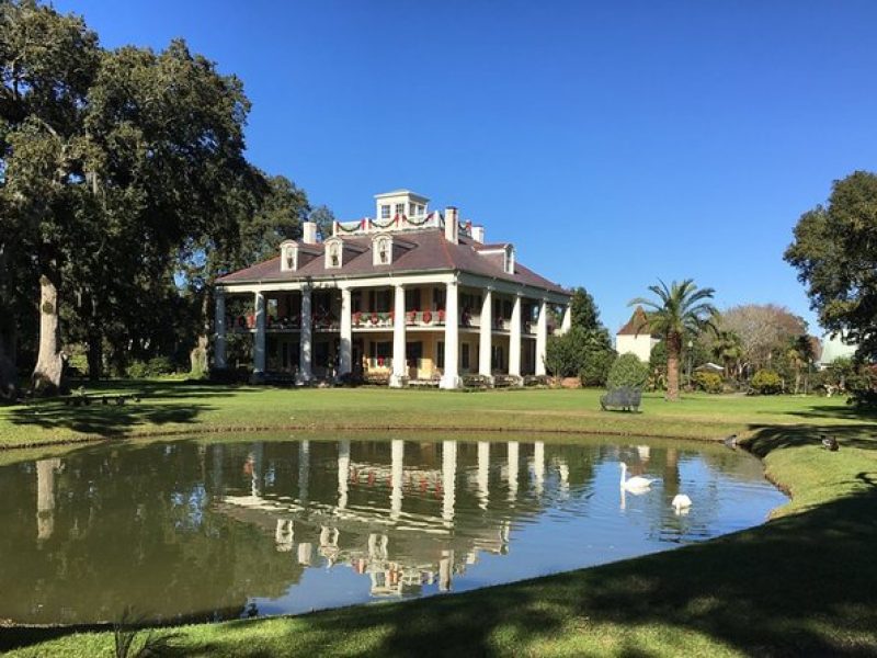 Airboat and Plantations Tour with Gourmet Lunch from New Orleans