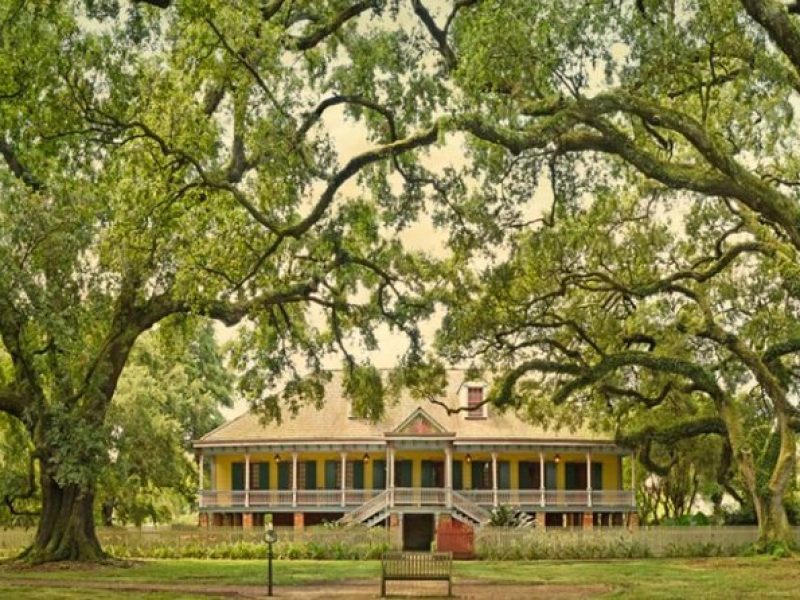 Small-Group Laura and Whitney Plantation Tour from New Orleans