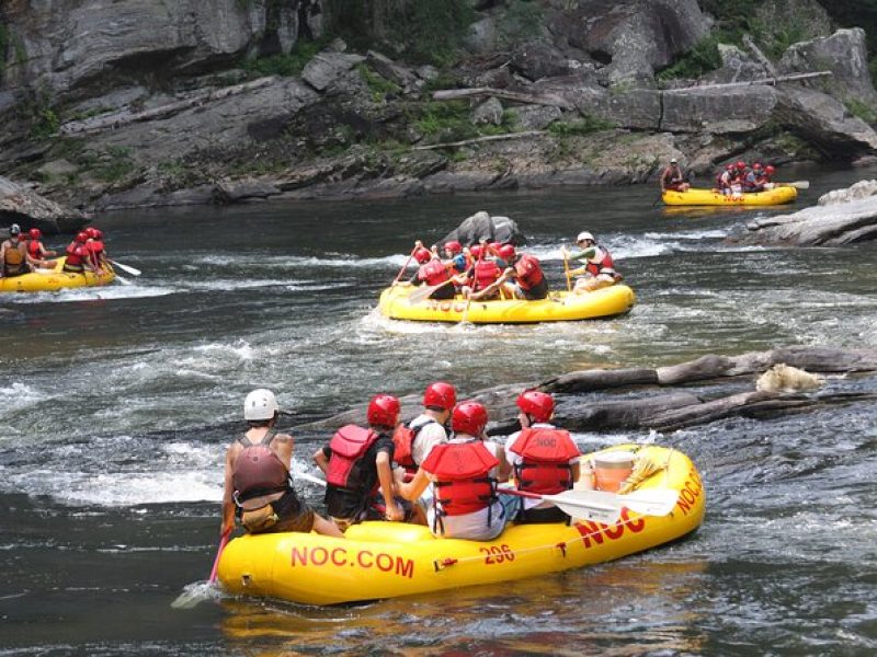 Chattooga River Rafting – Mild: Section 3