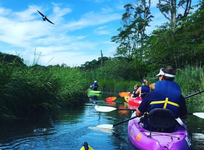 Kayak The Creek Nature Tour