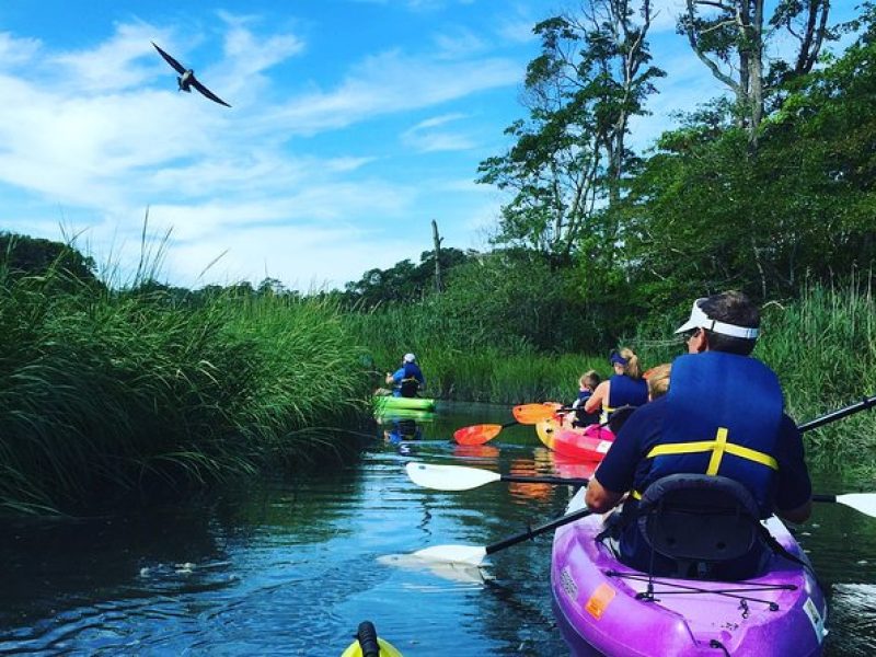 Kayak The Creek Nature Tour