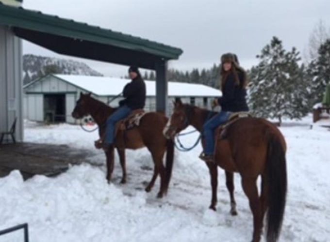 Sierra Histroric Tour & Horseback Riding from Reno