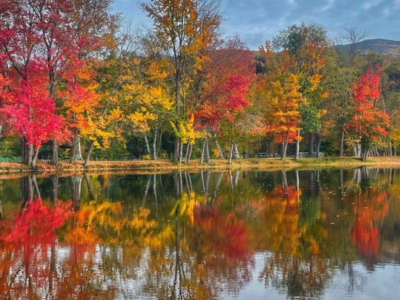 New Hampshire White Mountains Autumn Foliage Tour from Portland