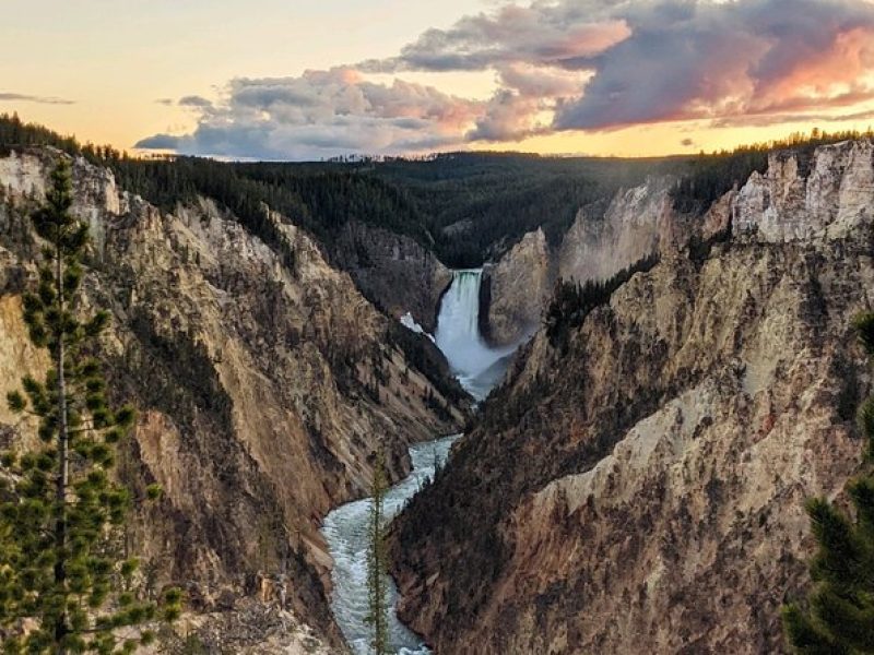 VIP Yellowstone Private Tour from Jackson WY