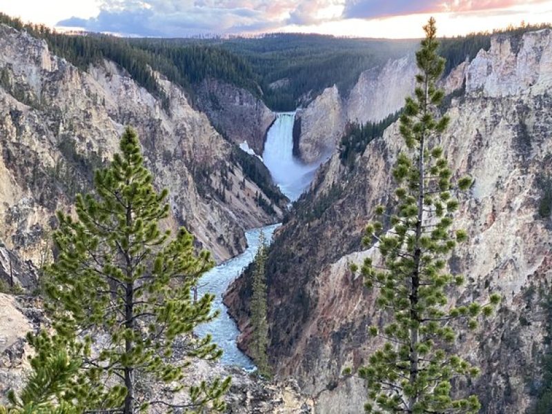 VIP Private Boutique Tour of Yellowstone's Upper Loop – West Yellowstone, MT