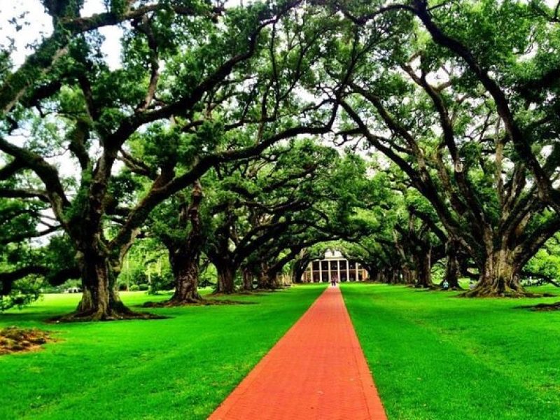 Private Historic Louisiana Plantation Tour