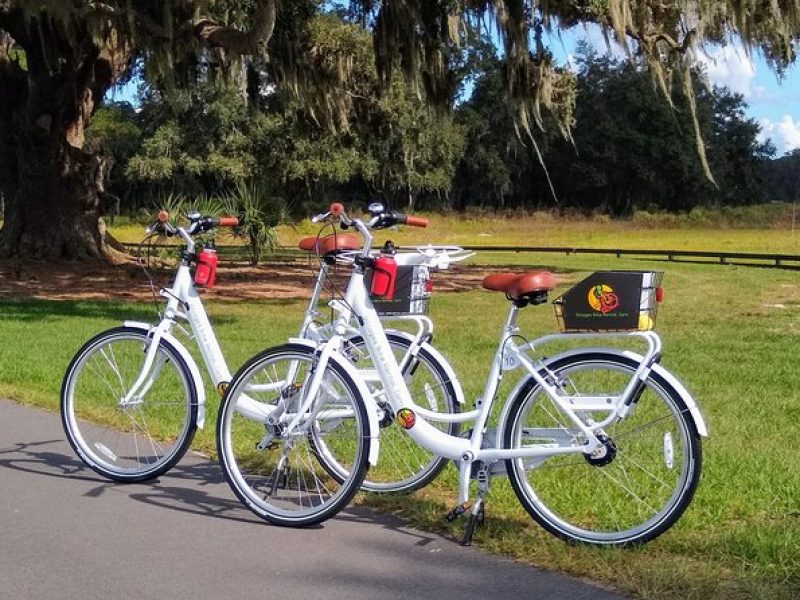 Village Bicycle Rental Free Delivery in The Villages Florida