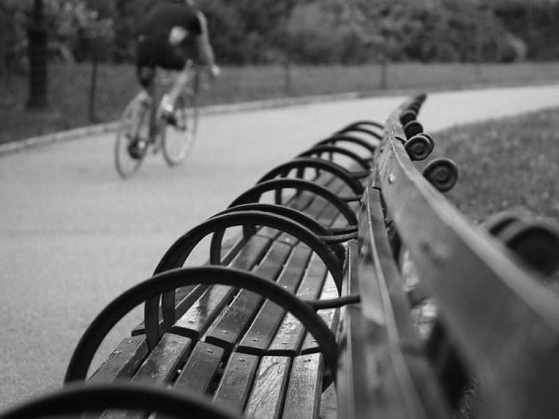 Best of Central Park Bike Tour