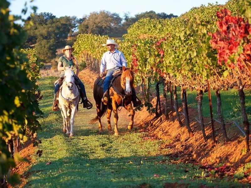 Guided Horseback Tour only 30 mins from Sedona.