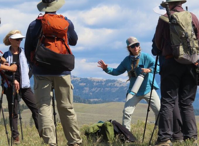 Lamar Valley Safari Hiking Tour with Lunch