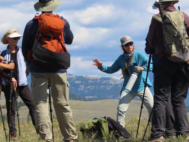 Lamar Valley Safari Hiking Tour with Lunch