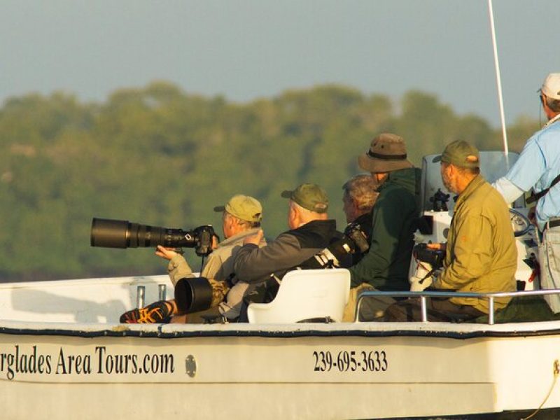 Private Everglades National Park Photography, Birding and Wildlife Safari