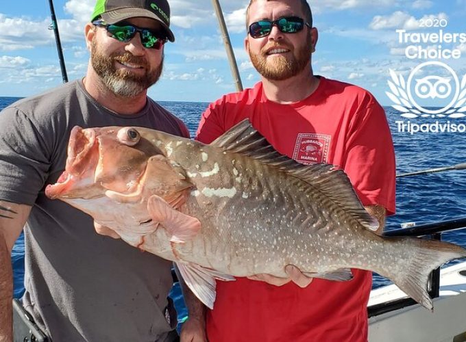 All Day Fishing Experience from John's Pass in Madeira Beach, FL – 10 Hours