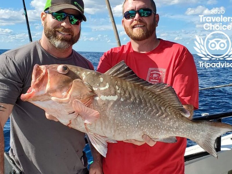 All Day Fishing Experience from John's Pass in Madeira Beach, FL – 10 Hours