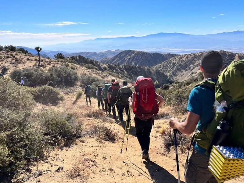 Private-36 Hour Adventure in Joshua Tree National Park