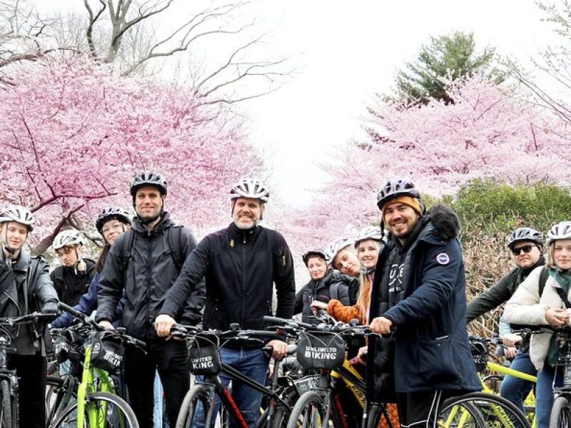 Washington DC Cherry Blossoms By Bike Tour