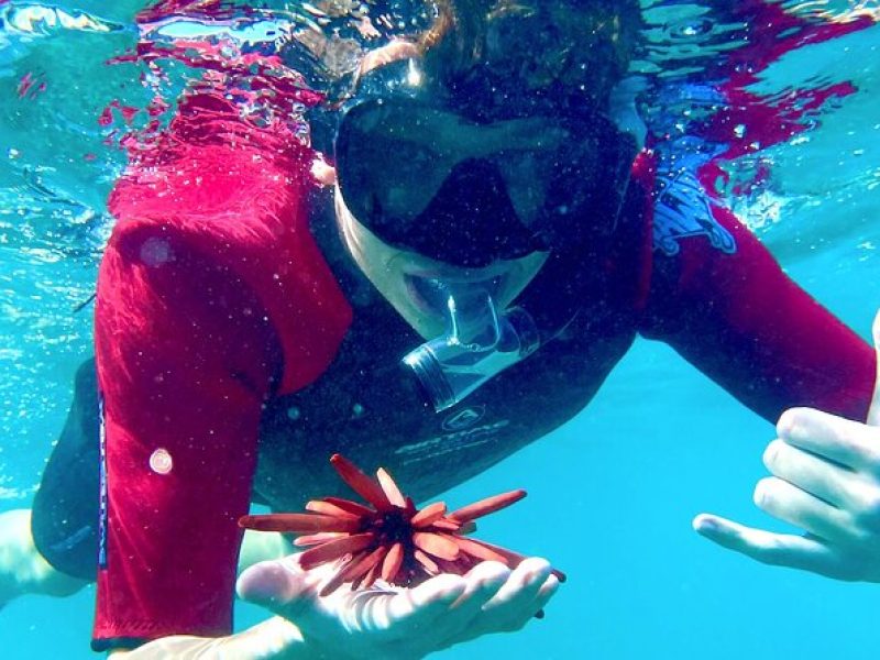 Guided Snorkeling for Beginners with Flotation Wetsuit