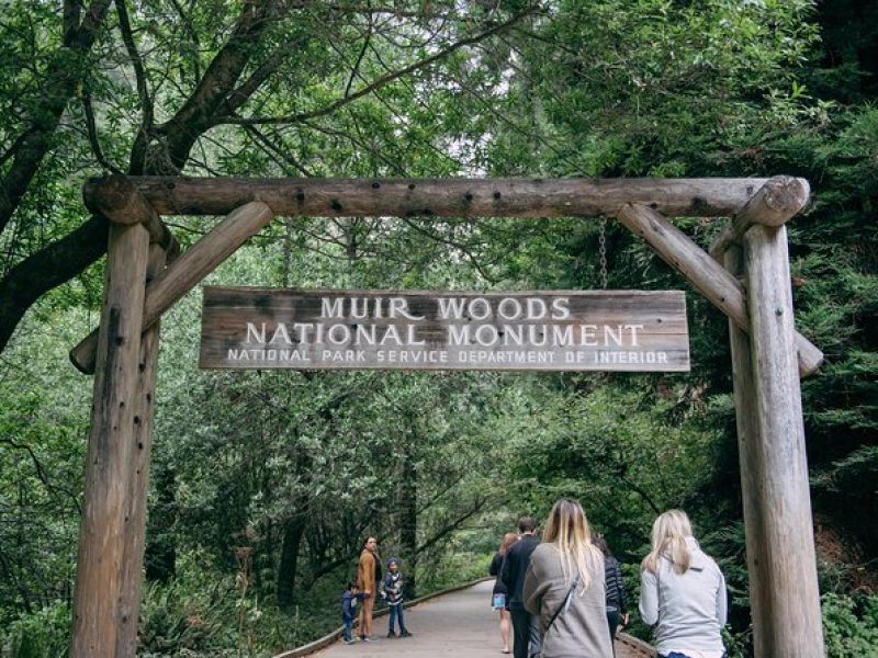 San Francisco Super Saver: Muir Woods & Wine Country w/ optional Gourmet Lunch