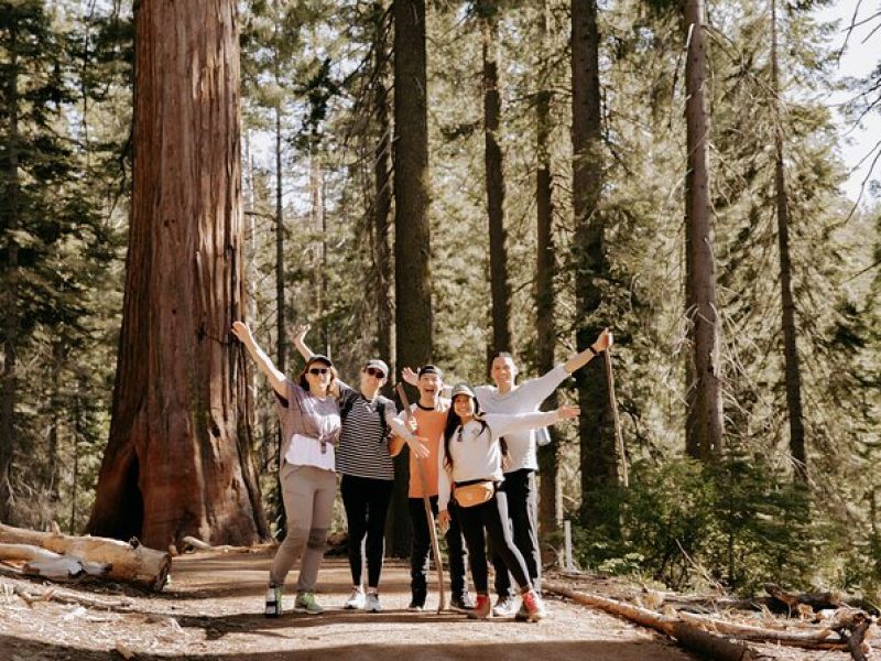 Yosemite National Park & Giant Sequoias 2-Day Semi-Guided Tour